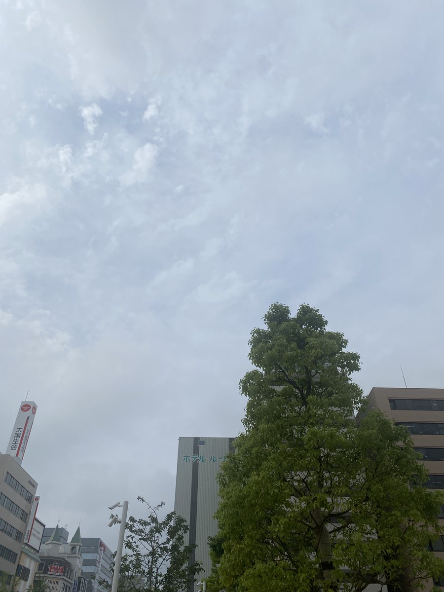 非常にどうでも良いことかもしれませんが、昨日の夕方と同じ写真を貼ってしまいました。伏してお詫びし本日の画像を貼ります。ほぼ昨日と同じですがっ！
#土下座