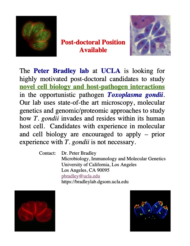 The Bradley lab is hiring a postdoc - we have a great group of folks doing interesting cell biology and host pathogens interactions in Toxoplasma!