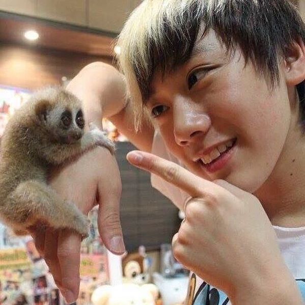 Mylittlecat1001's tweet photo. น้องมีแมวน่ารักๆอยู่สามตัว บ้านที่ไทยก็เลี้ยงสุนัขกับแมวแทบจะเปิดฟาร์มได้ น้องเตนล์เค้าชอบสัตว์แปลกๆด้วย น้องเคยเลี้ยงกบสีทอง นางอายที่มันหลุดเข้ามาในฟาร์มของบ้านน้อง ตัวเปี๊ยกเดียวไปสวนสัตว์กับคุณแม่ก็จับเสือจับจระเข้แบบไม่กลัวเลย 😂 https://t.co/UVgfmCpsqP