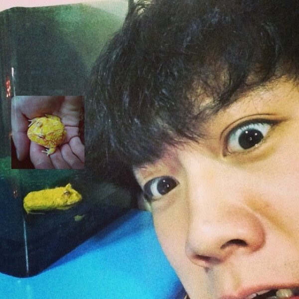 Mylittlecat1001's tweet photo. น้องมีแมวน่ารักๆอยู่สามตัว บ้านที่ไทยก็เลี้ยงสุนัขกับแมวแทบจะเปิดฟาร์มได้ น้องเตนล์เค้าชอบสัตว์แปลกๆด้วย น้องเคยเลี้ยงกบสีทอง นางอายที่มันหลุดเข้ามาในฟาร์มของบ้านน้อง ตัวเปี๊ยกเดียวไปสวนสัตว์กับคุณแม่ก็จับเสือจับจระเข้แบบไม่กลัวเลย 😂 https://t.co/UVgfmCpsqP