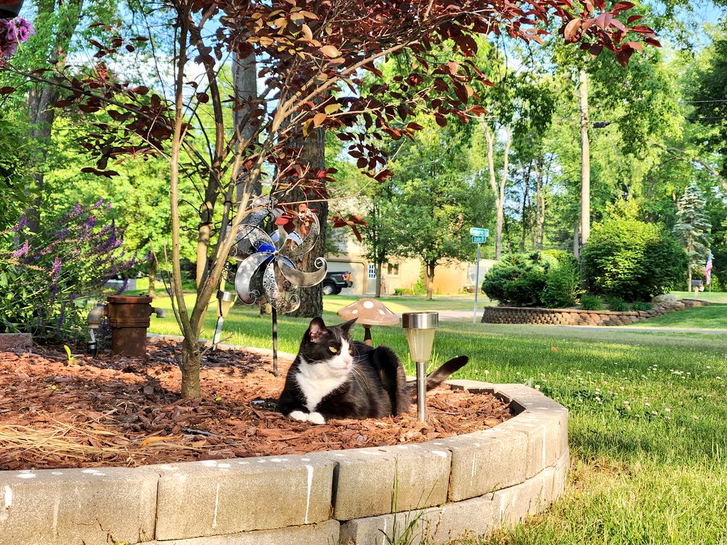 🎶 I'm sexy and I know it 🎶