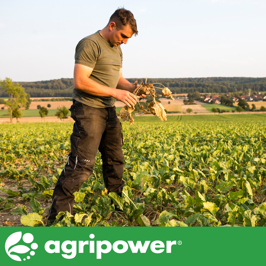 Agripower Australia tweet media