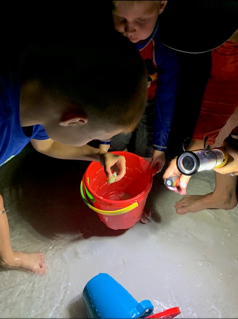 saftlite's tweet image. In the garage, working on the car or even on the beach looking for crabs,  SafTLite has been providing the light on memories for dads and their kids for decades.  Check out Northern Tool for some great SafTLite products.
ow.ly/7eIp50OMXs8
#saftlite #northerntool #fathersday