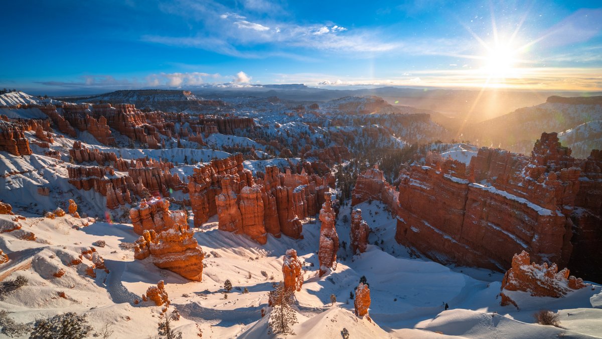 lashawnavyl's tweet image. 🦃📆 Every day is a gift, that&apos;s why it&apos;s called the present.