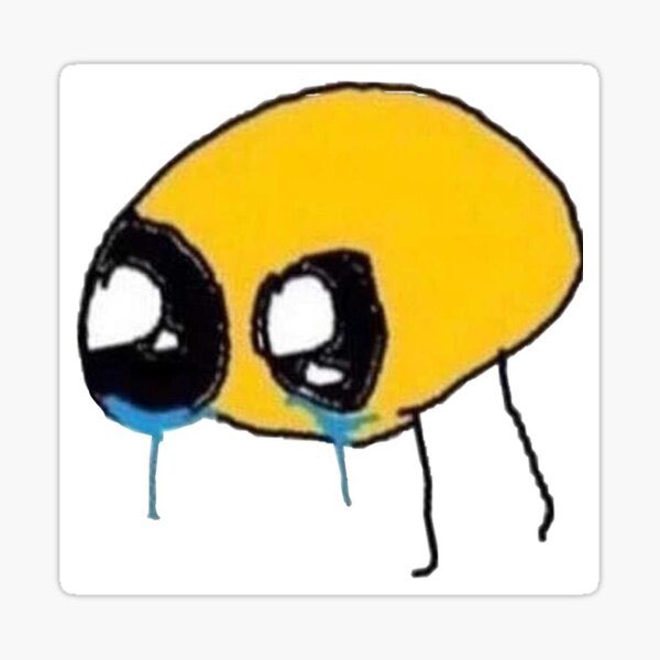 Student (randomly turns to me in the middle of group class) : I just want to say your outfit is so beautiful, your makeup is nice and your hair looks so cute today. You’re so beautiful”  

Me: *absolutely sobbing*