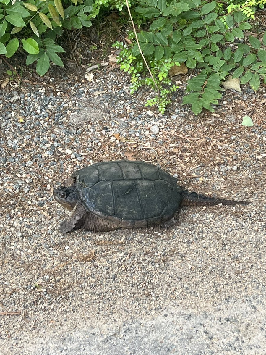 Today I licked the ocean and ate some hail. Also learned some things about biogeochemistry! #OCB2023