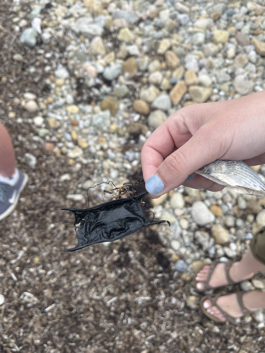 ScithoughtsM's tweet photo. Today I licked the ocean and ate some hail. Also learned some things about biogeochemistry! #OCB2023 https://t.co/CvnzmahUJT