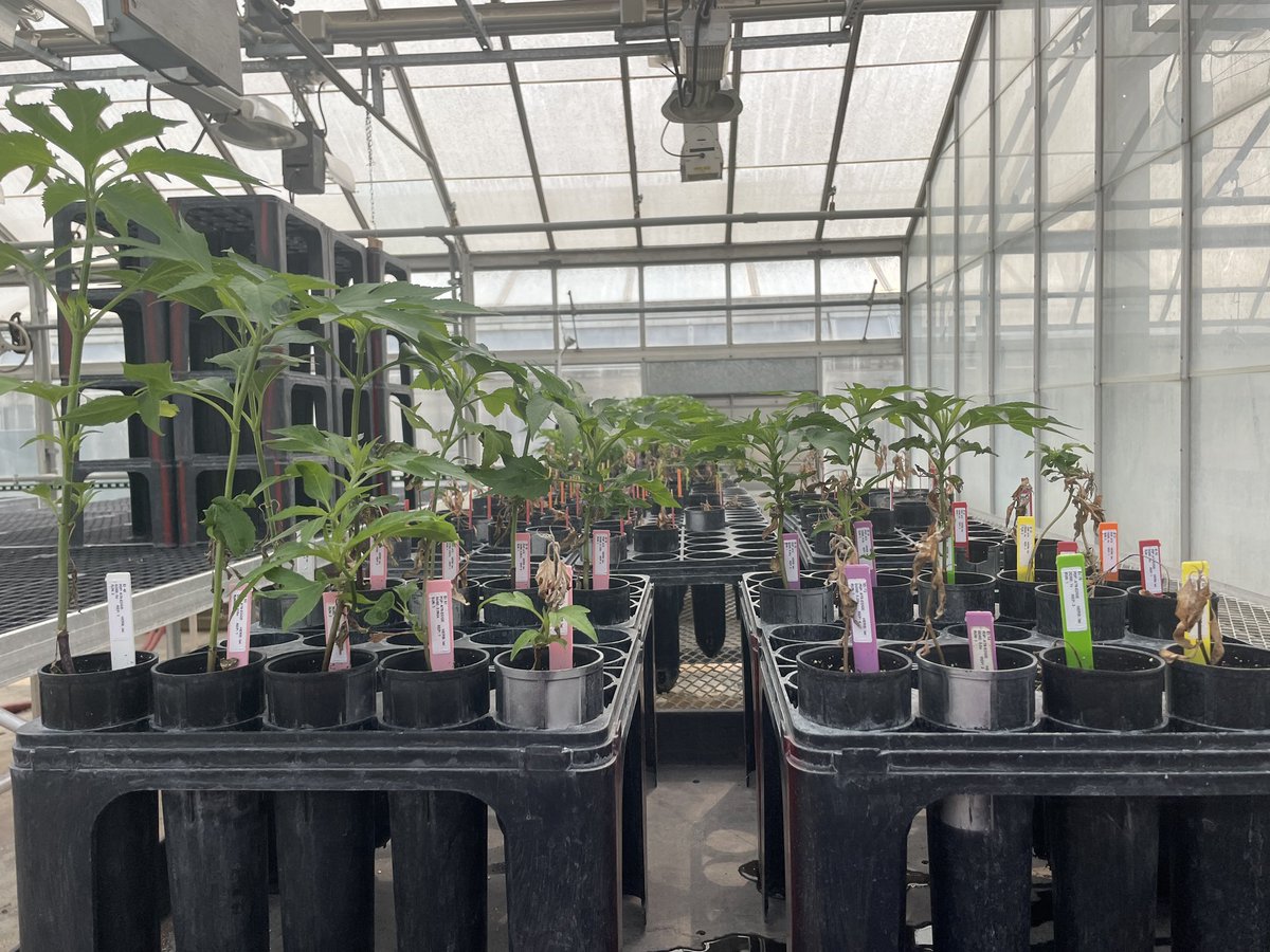 North Central Weed Science Society tweet media