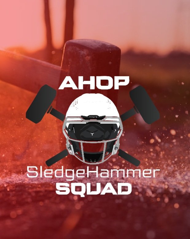 rlmitch777's tweet photo. It's HAMMER TIME🔨🔨🔨. If you got that DOG in you. prove it💪🏿 AHOP is looking for gridiron monsters to fill out our roster. DROP YOUR HUDL FOR SCHOLARSHIP CONSIDERATION.
#WEAREAHOP
#SledgeHammerhouse https://t.co/pOCtDFlXMj