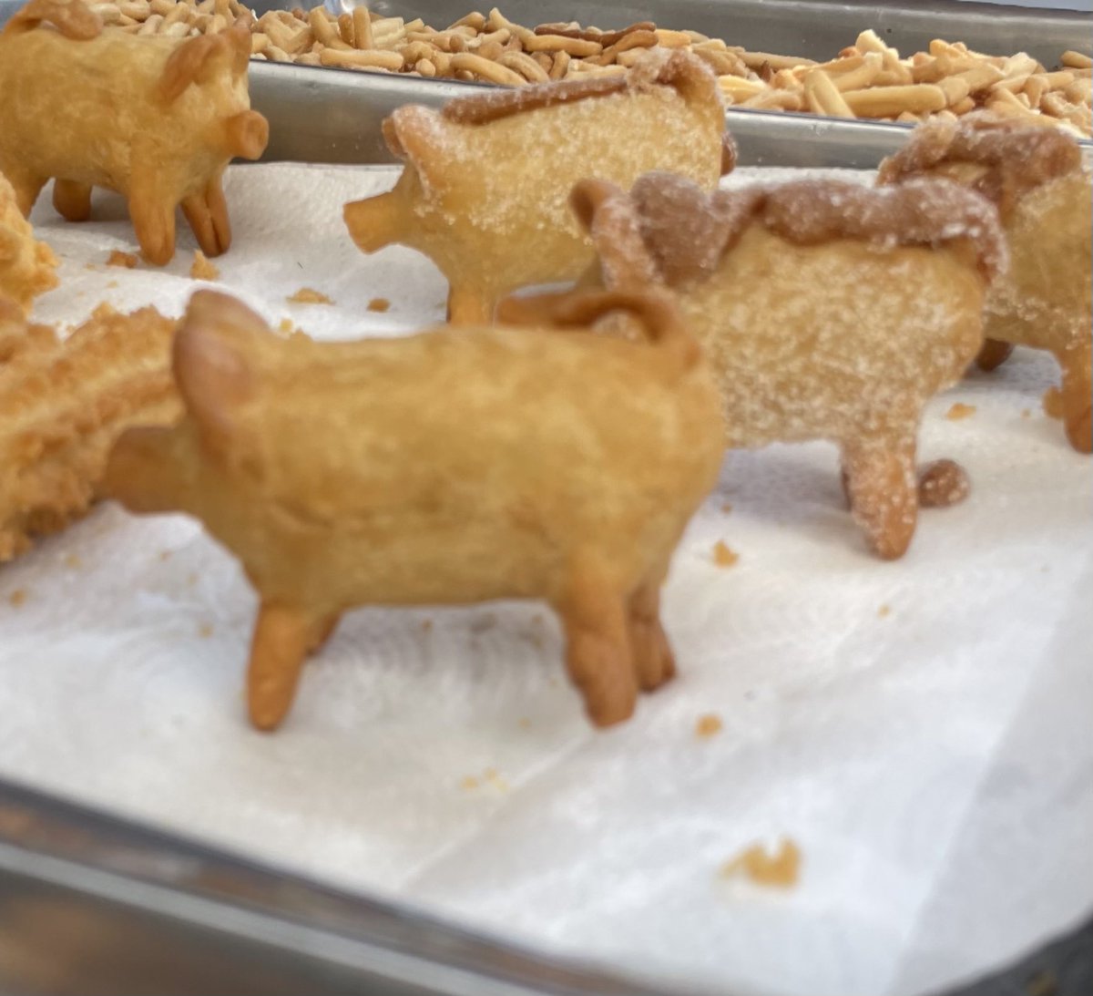 CaroLocal's tweet image. Otra maravilla de la naturaleza: chanchichurros tucumanos