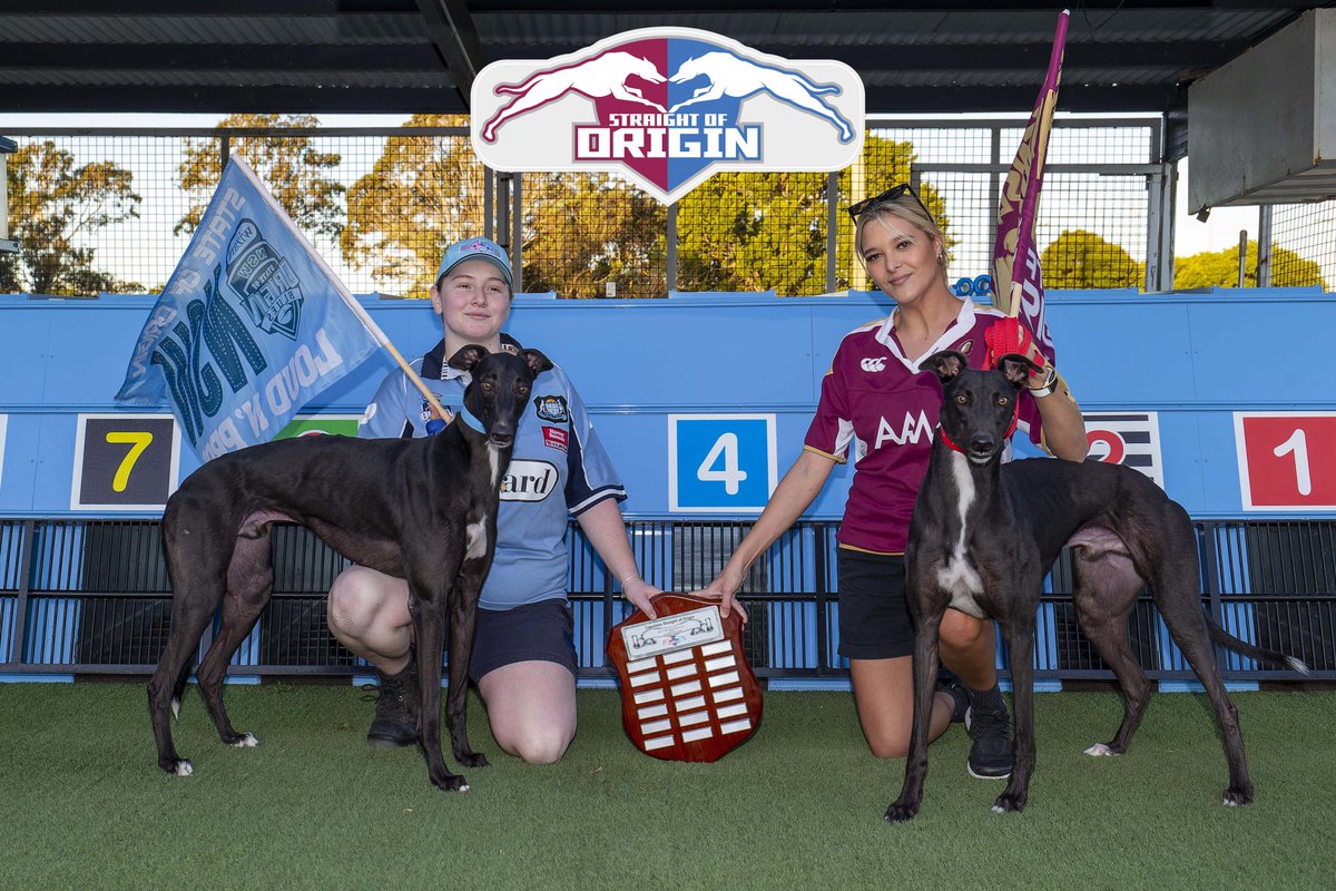 Capalabagreys's tweet photo. STRAIGHT OF ORIGIN FINAL 🏆

This Sunday at Capalaba Greyhounds 🎉

@RaceQLD @Bunny_Brasch https://t.co/fDWAfOMN3Y