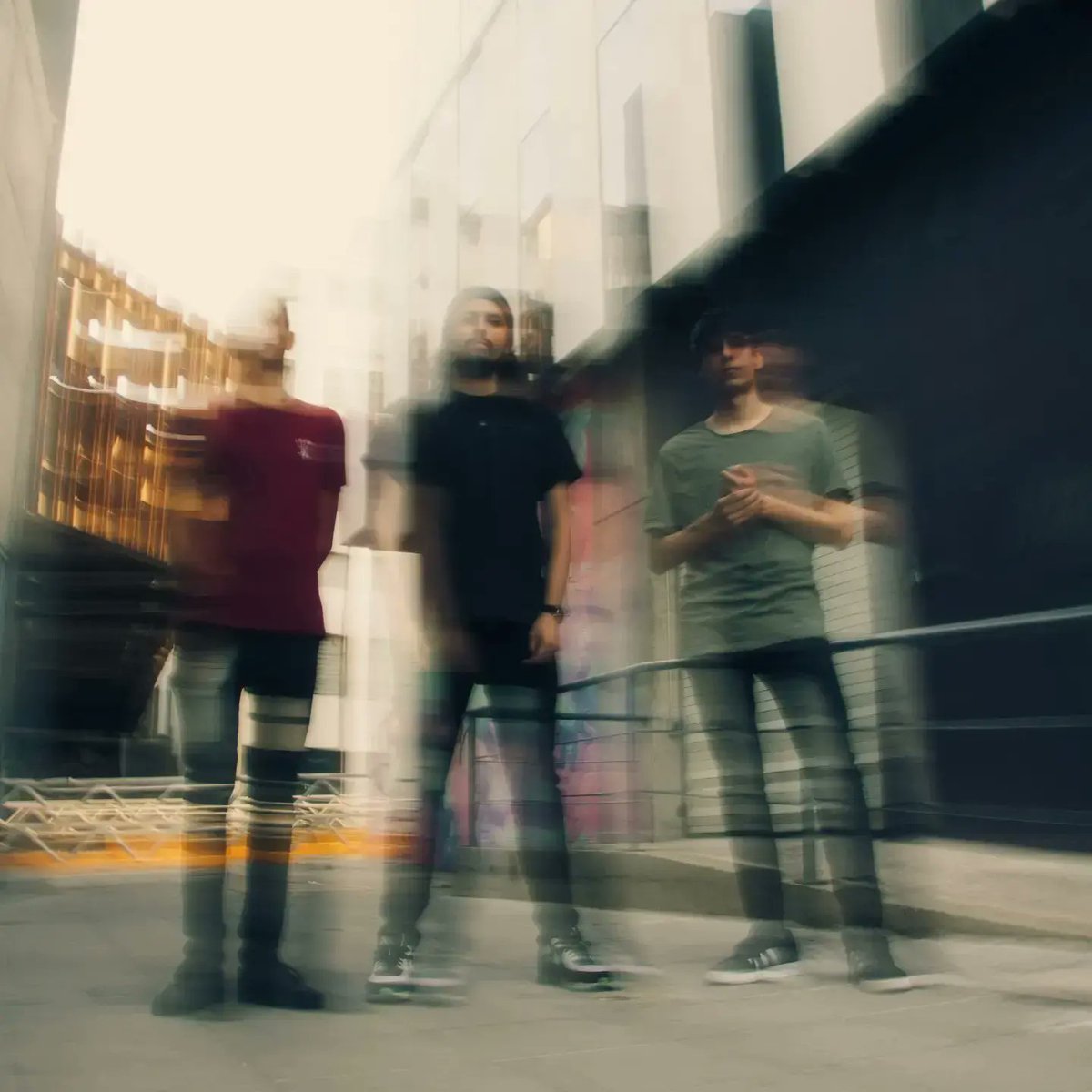 Micelios tweet media