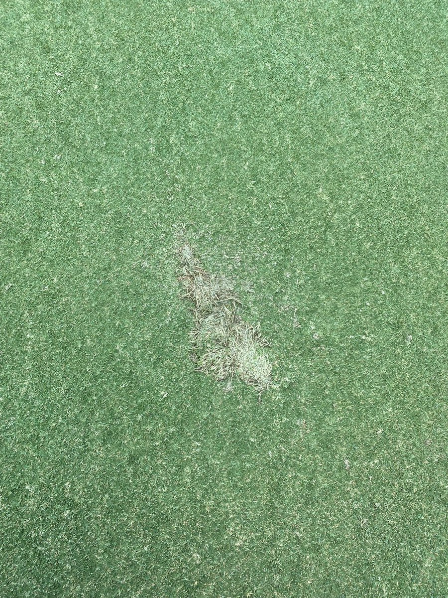 FishyTurf's tweet photo. Spent 2 weeks aerifying the golf course to maintain championship conditions… 1st day open, find a divot in the middle of the green. Your golf etiquette says a lot about you as a person! https://t.co/NAT82N01R4