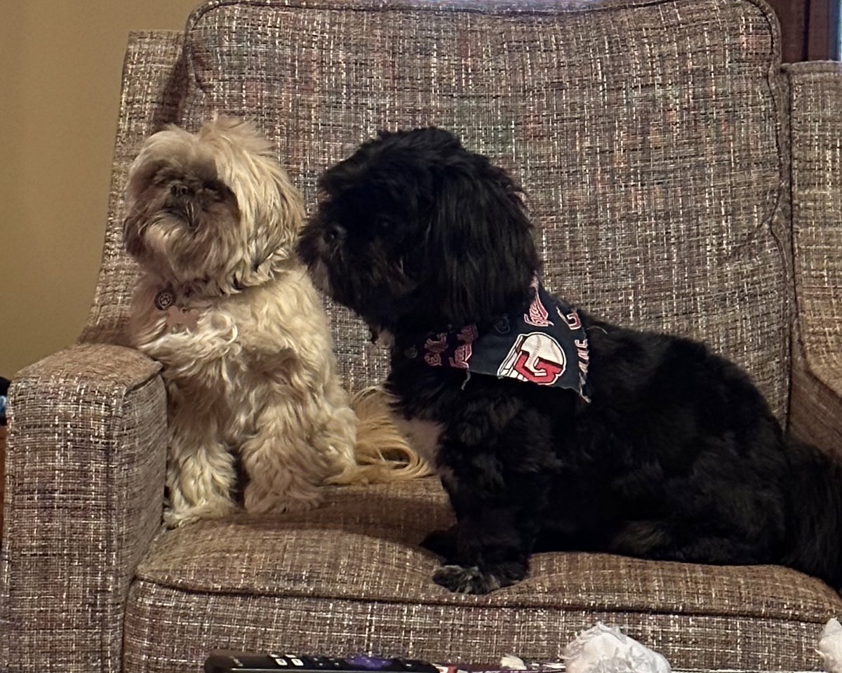 SydneySnow___'s tweet photo. I can now say Lily was NOT lonely and she did NOT secretly want a brother this whole time https://t.co/WiDiilJkWv