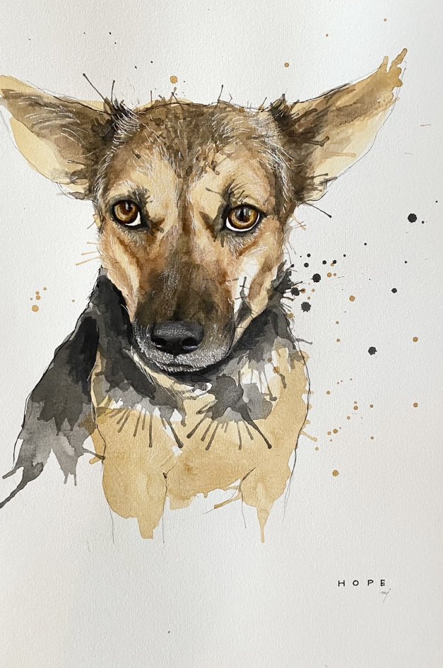 Congratulations to Hope for making the incredible journey all the way from Thailand to the UK! Your name is a true reflection of the hope and inspiration you bring to us all.

Hope <a href="/NiallHarbison/">Niall Harbison</a> 

#dogart #dogoftwitter #dogportrait 
Instagram @chellejung_draws