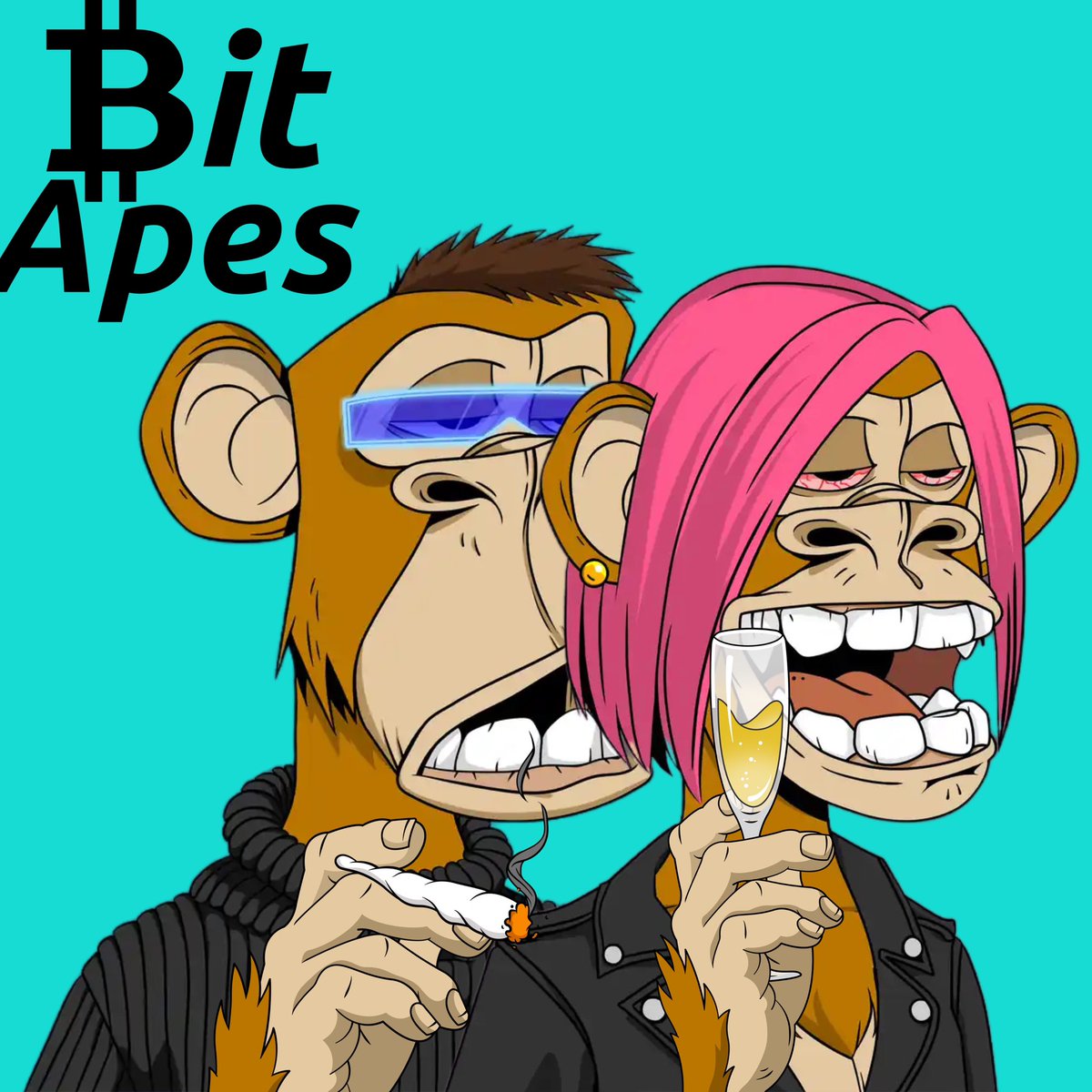 shakOmega's tweet photo. @DirtyPawEnt @BitApes_btc @MagicEden @BoredApeYC #APESET https://t.co/iUjKbSRCyb