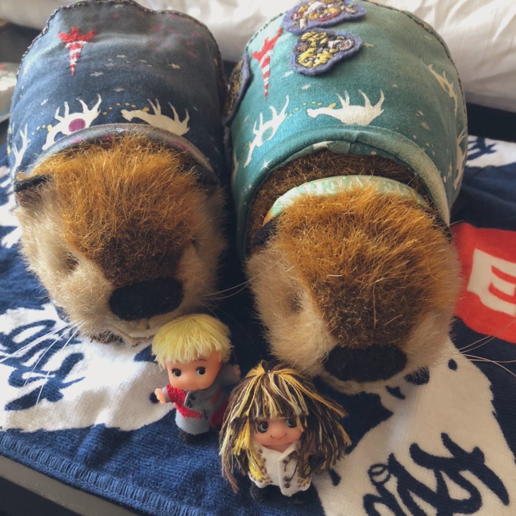 SUPER BEAVER スーパービーバーちゃん(ぬいぐるみ) スーパービーバーちゃん ぬいぐるみ SUPER BEAVER - メルカリ
