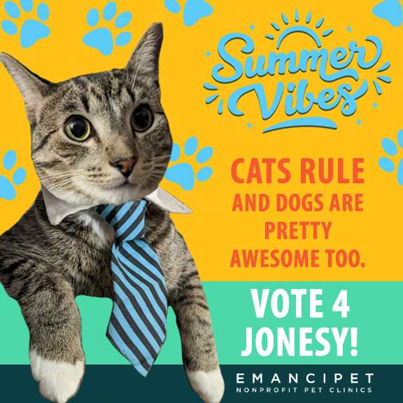 Help this dedicated little businessman win the contest with your vote! <a href="/emancipet/">Emancipet</a> provides life-saving veterinary care at Nonprofit Veterinary Clinics. If you buy votes, that money helps provide pet care! emancipet.us.launchpad6.com/photo-contest/… A cat has never won this; let's change that!