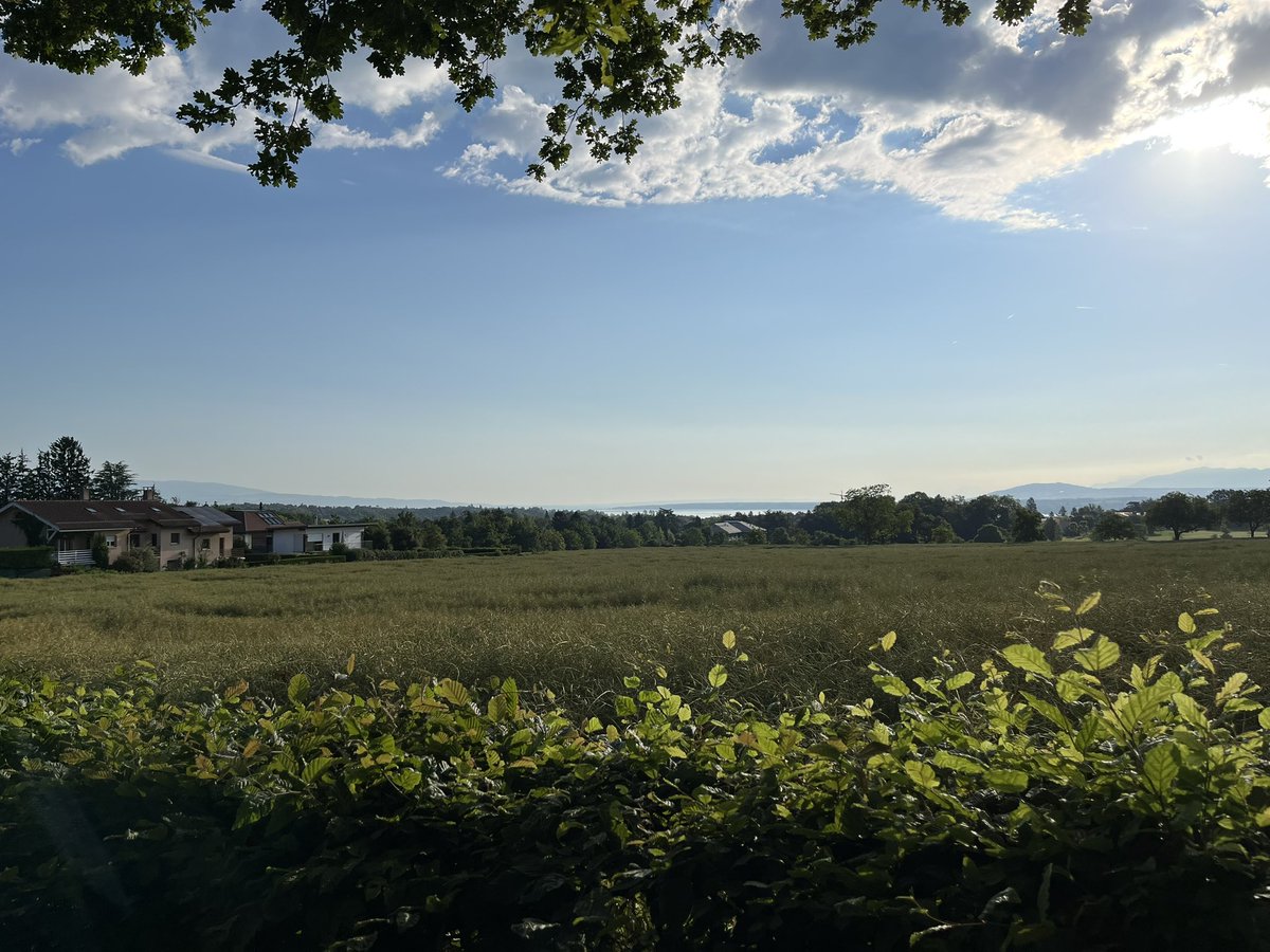 PO_DF's tweet photo. Morning #running in #Geneva #marathon https://t.co/cWBMuJlZE1