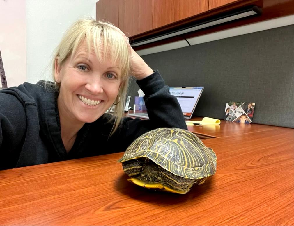 LegacyExtATX's tweet image. This turtle wandered into our warehouse recently. We named him Andy and offered him a job, but he worked too slowly.