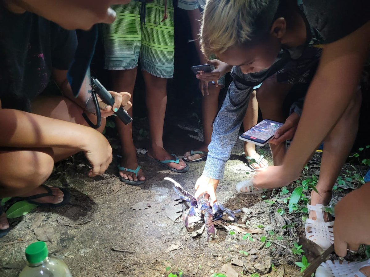OlivierB_spc's tweet image. Makatea est un atoll soulevé, situé à 6h de bateau de Rangiroa et dont nous accueillons au collège 12 d'enfants. Elle a fait la richesse Polynésie grâce à l'exploration du phosphate. 6000 habitants dans les année 1950, et juste 60 ajd. C'est une ile mystérieuse🤩
#teamPC #teamHG.