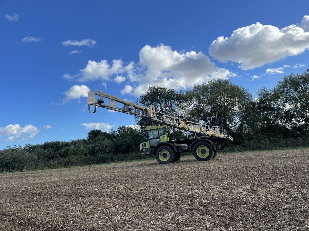 Rob Cannell tweet media