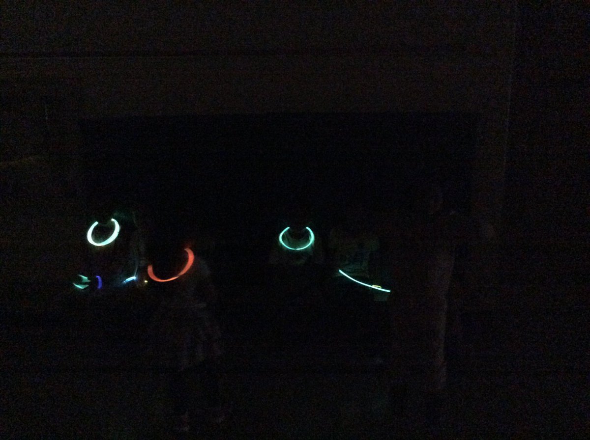 The spring fling! A throwback of pics from our fundraiser dance for ShareLife @StGarnierDPCDSB