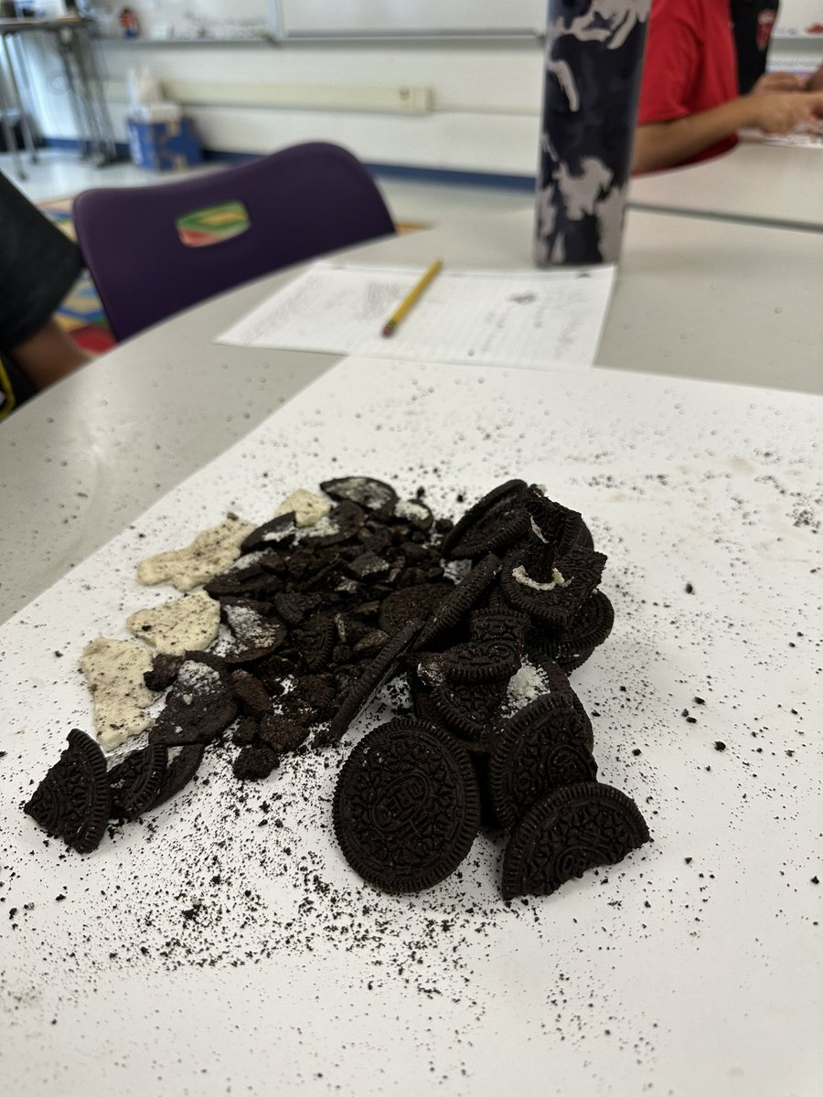 Skylar Popiel tweet media