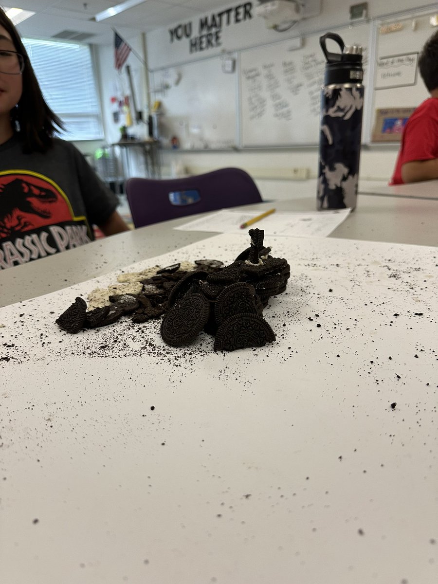 Skylar Popiel tweet media