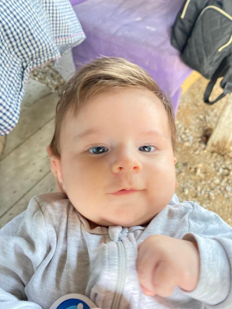 melihadgmz's tweet photo. aynen peşpeşe doğurdum ne güzel beraber büyürler :)( https://t.co/pQFQUD4t1r
