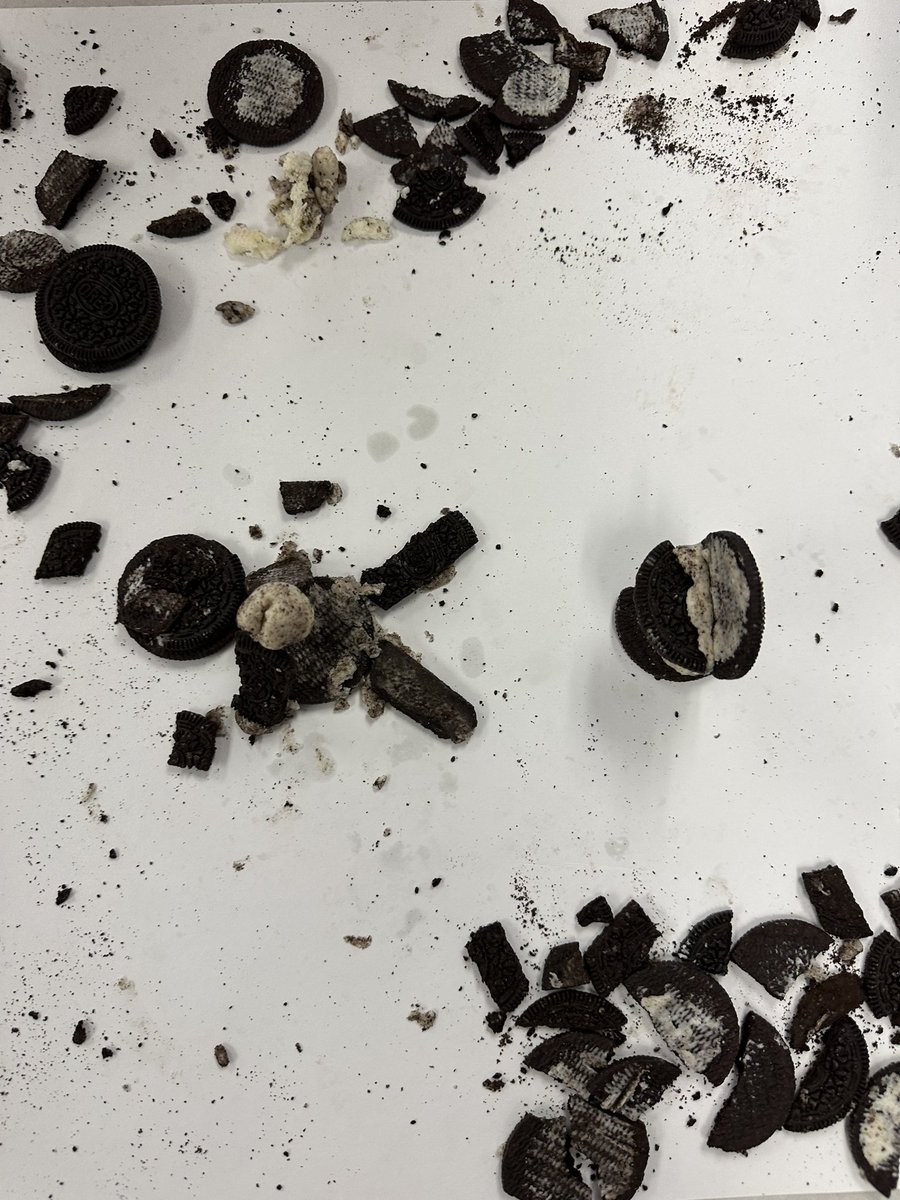 Skylar Popiel tweet media