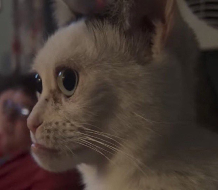 Nobody :

Step son: ndakhuta ndipiteno kwa bambo anga enieni