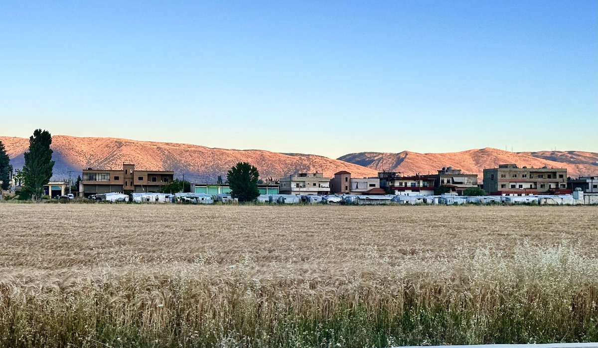 fillobax's tweet photo. Proud to see this @ICARDA #durum variety specially made for #burghul and #kebbe reach #farmers fields in #Lebanon thanks to the work of @RolaAmil and the team of #LARI @MountainHer https://t.co/YO6teapOr2