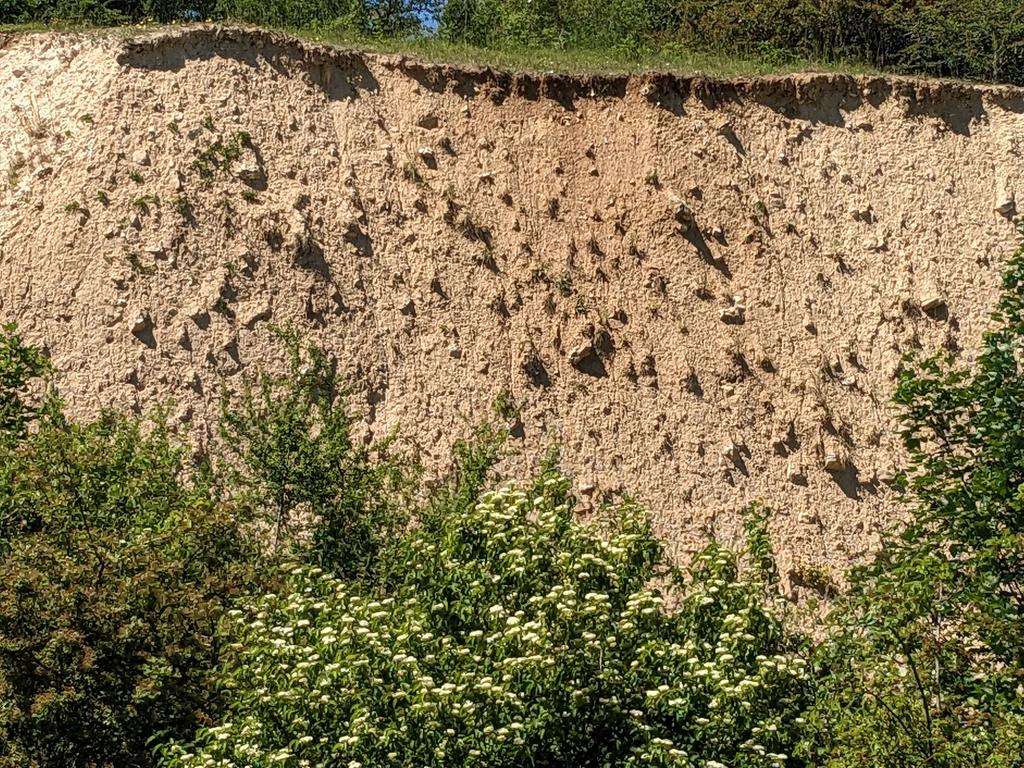 GroundwaterMike's tweet photo. Welton le Wold, Lincs.: Example of the Pleistocene tills (diamicton), about ~6m thick here &amp; prevalent in this area #Geology #GeolyHoliday, but what about their hydrogeological significance...... https://t.co/vU7asuisPn