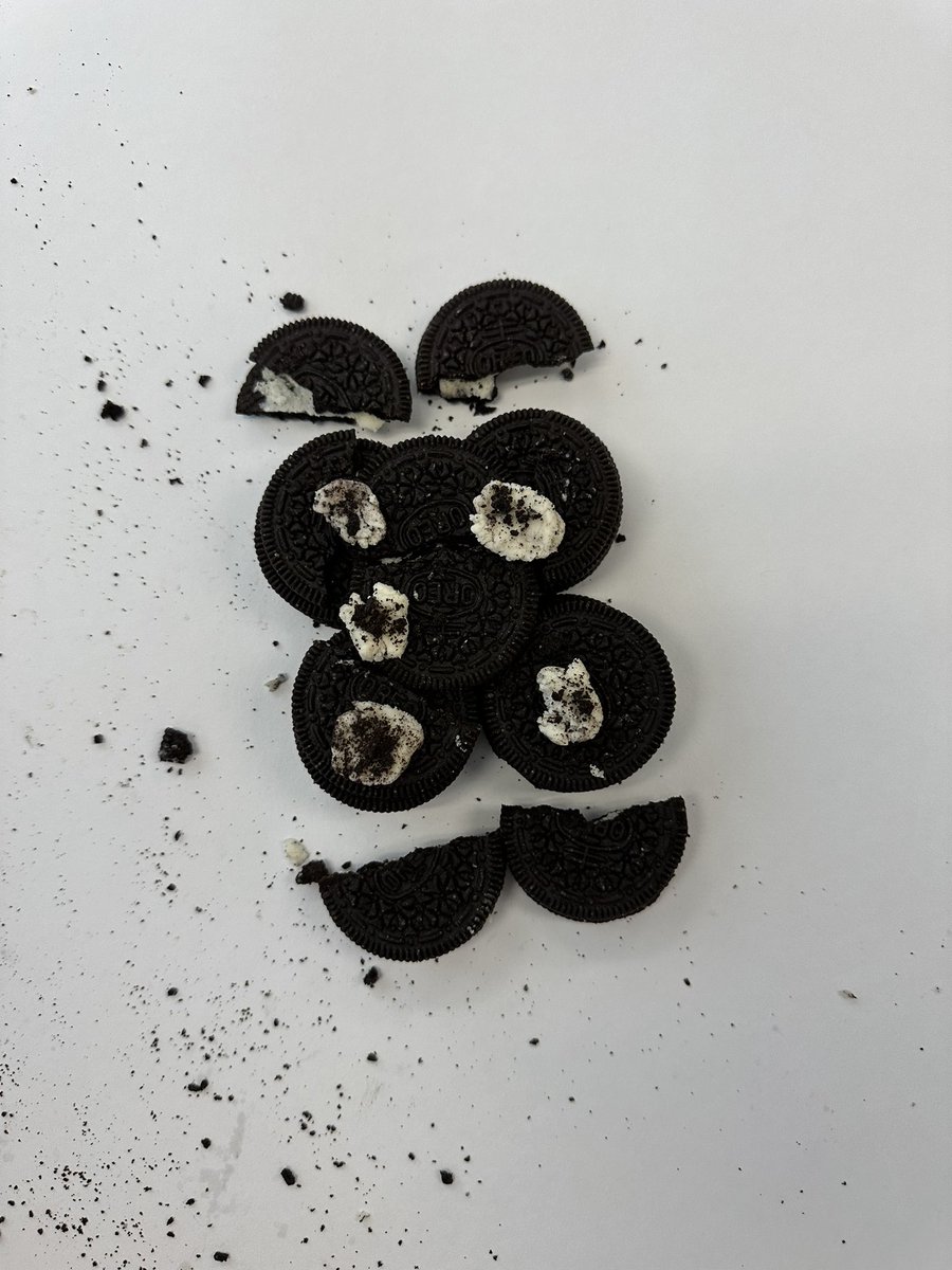 Skylar Popiel tweet media