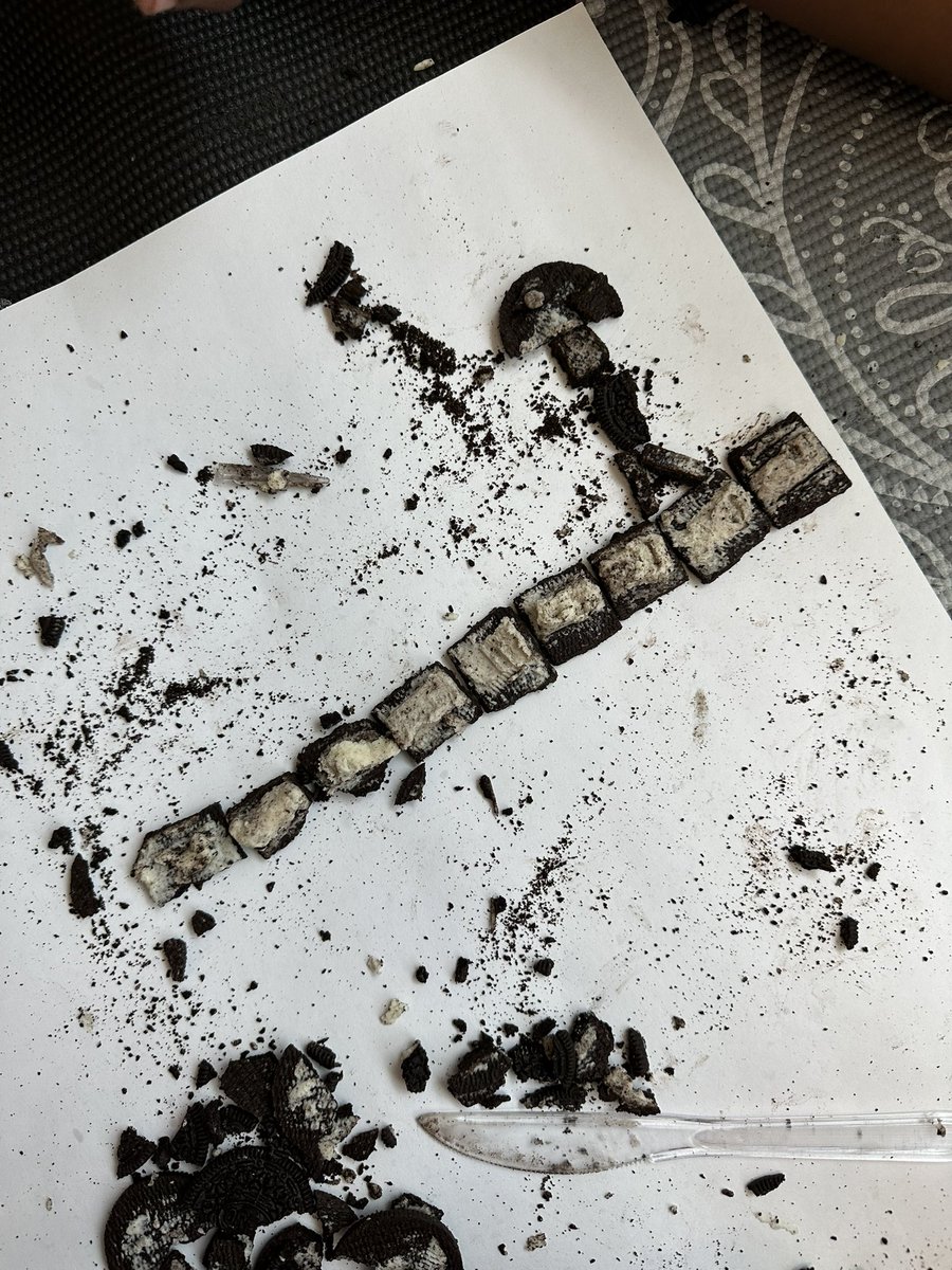 Skylar Popiel tweet media