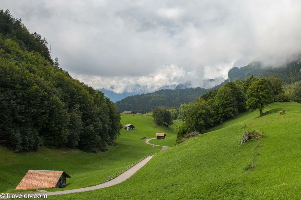 كل ماتحتاجة عن انترلاكن :
الدليل الشامل
traveldiv.com/?p=7590 
برنامج يومي
traveldiv.com/?p=14895 
مسارات
traveldiv.com/?p=20800 
اهم الاماكن
traveldiv.com/?p=19775 
افضل الشقق
traveldiv.com/?p=15917 
افضل الفنادق
traveldiv.com/?p=19327