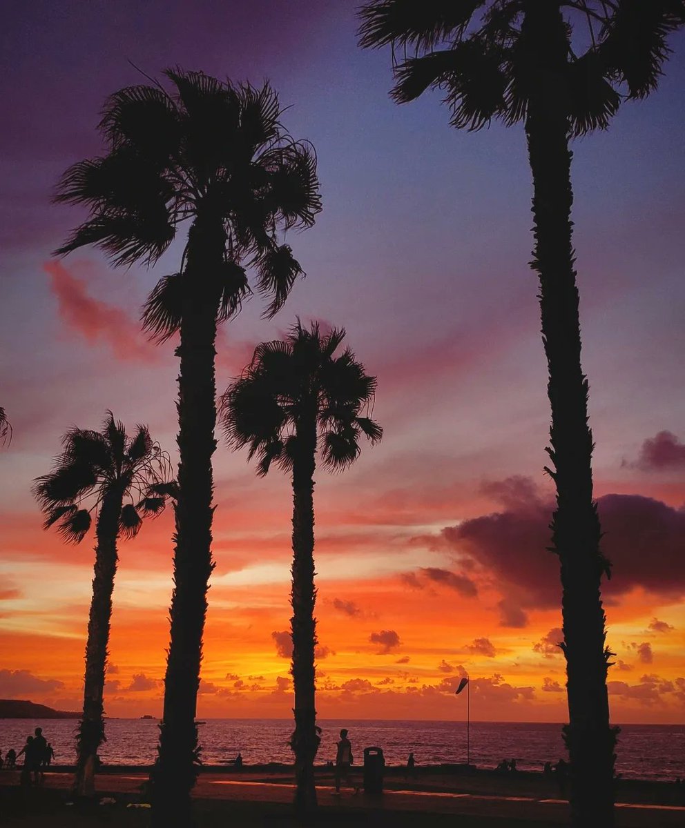 TomesAndTravel's tweet photo. What an amazing sunset 🌇 https://t.co/g4viWcD7na @LasCanteras https://t.co/GIIcoCNlrd