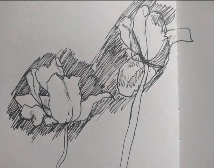 What's happening this week at The Arienas Collective - mailchi.mp/143f8598dfa5/1…