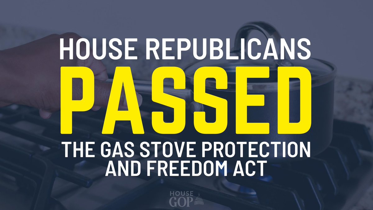 Rep. Elise Stefanik on Twitter "The HouseGOP PASSED the Gas Stove Protection and Freedom Act