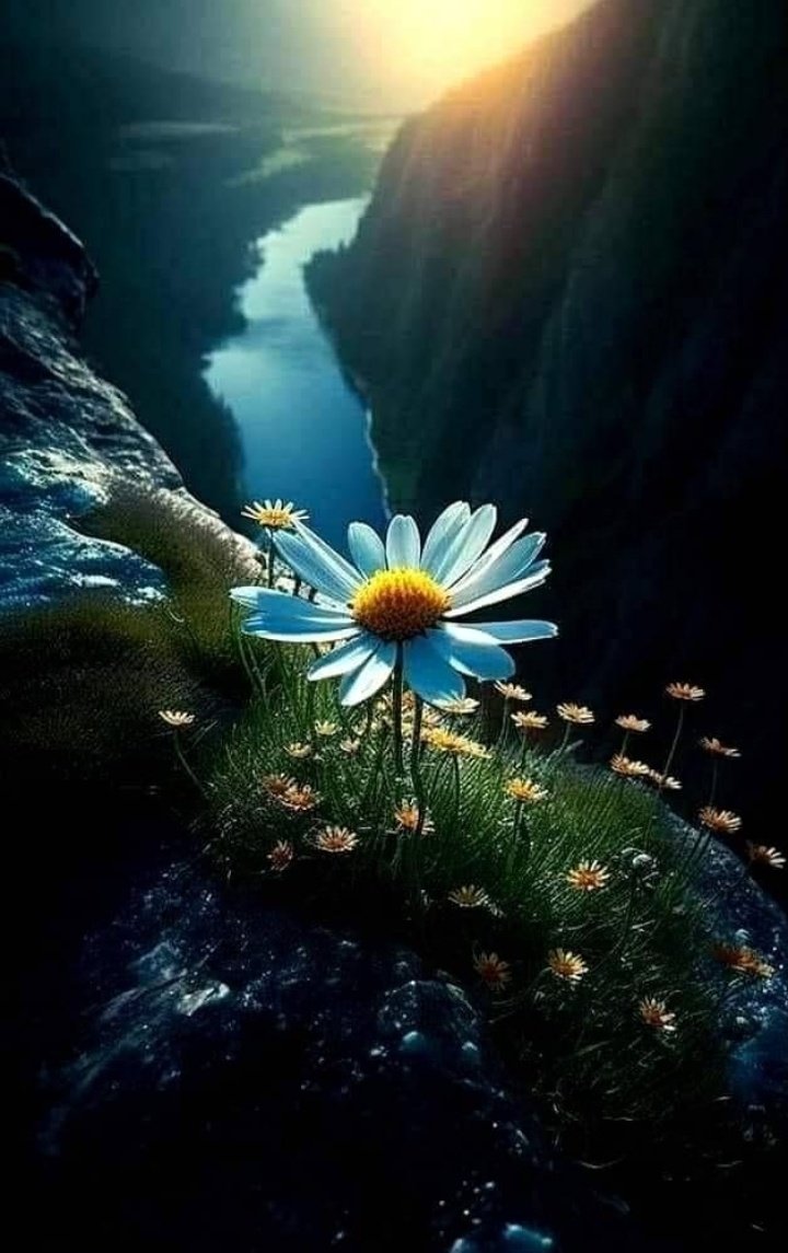 AlbaFer00407331's tweet photo. Boa noite meus lindos e lindas do tt e de toda Nação Rubro-negra 🖤❤️. Que tds possam desfrutar de um merecido descanso e uma noite    de    muita   paz   e harmonia!🙏🏾🙌🏾🪷🌹💐🌺💗💞🌹🌜👊🏾🖤❤️🖤❤️🖤❤️ https://t.co/P5HuELmoPH