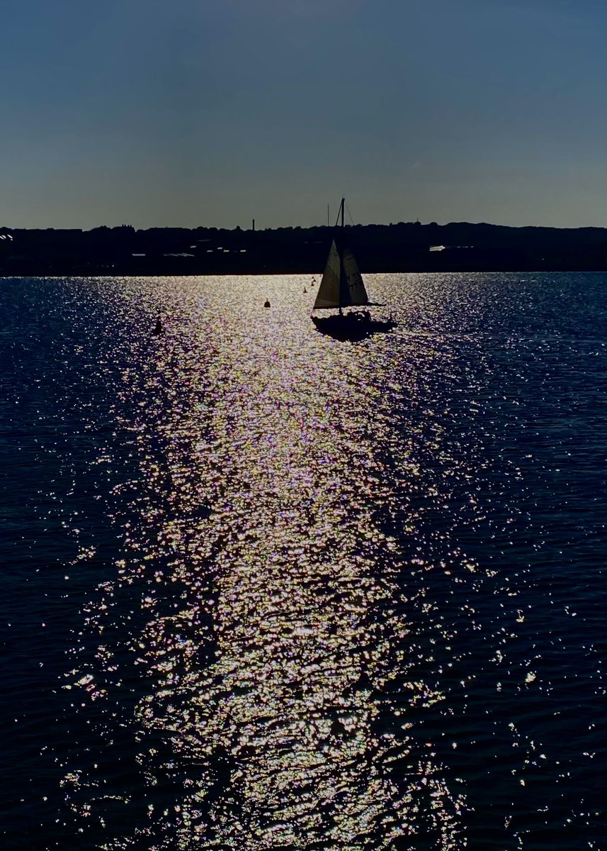 AledHall's tweet image. Hwylio bant mewn i’r machlud…Nos da gyfeillion x

Sailing off into the sunset..Nos da my friends x

#CardiffBay #CardiffBarage

🏴󠁧󠁢󠁷󠁬󠁳󠁿❤️