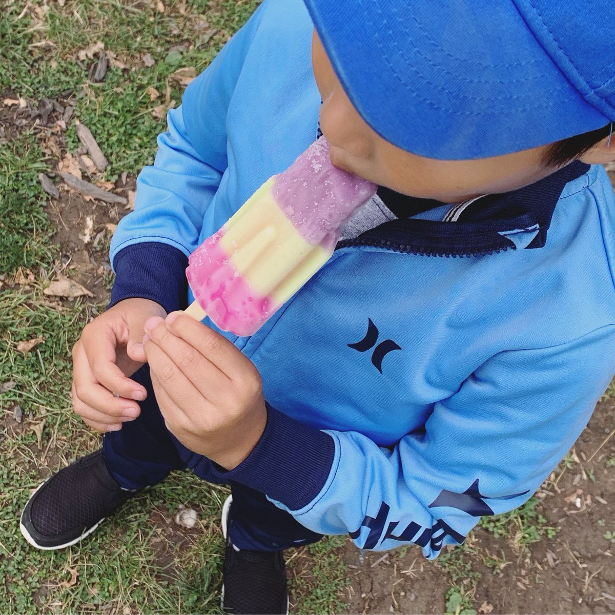 P is for Popsicle!

Today we had a yummy Popsicle to end the day!