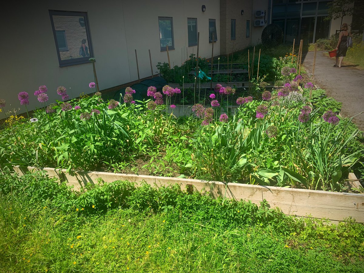 Frome Community Hospital Earthly Ideas tweet media