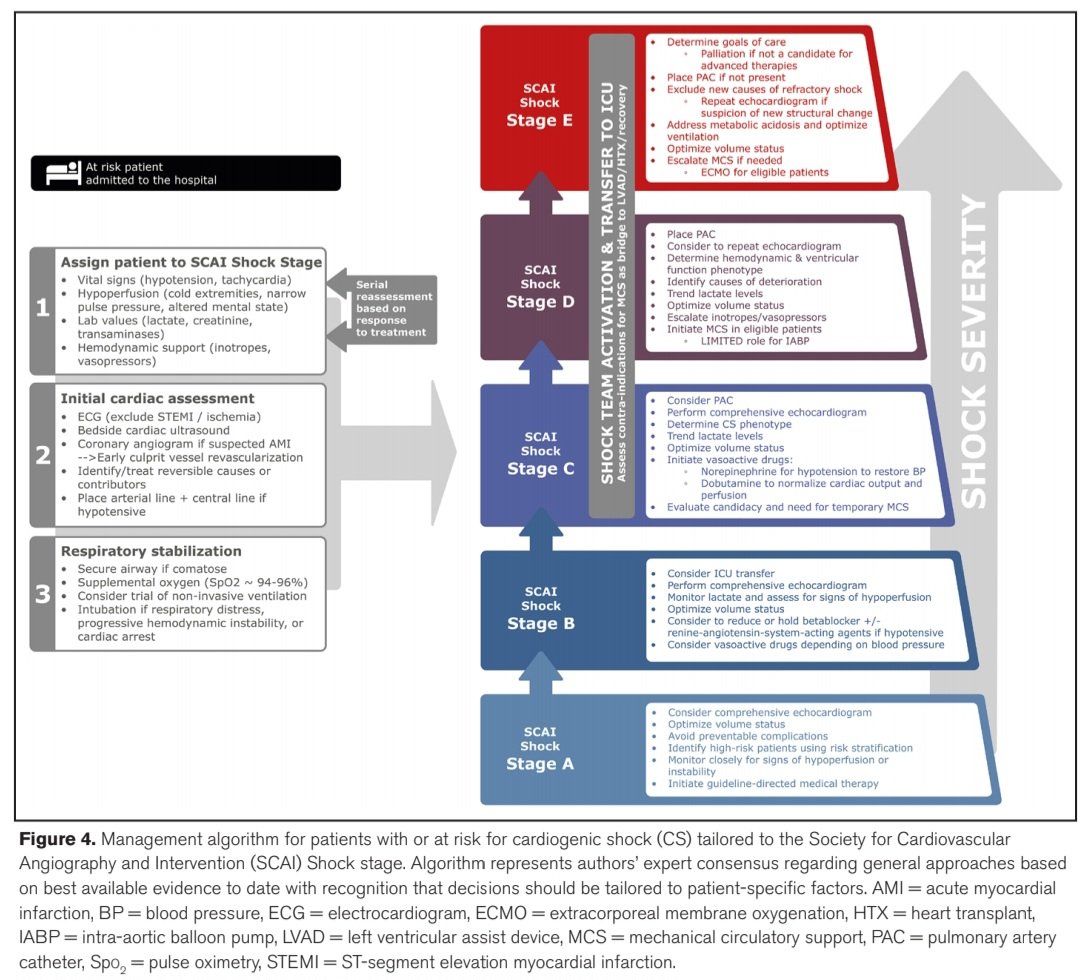 LeslieMegom's tweet photo. 💥🫀Avances en el Manejo del Shock Cardiogénico🆕️‼️Revisión concisa y precisa de la evidencia actual📚☕️
👇👇👇👇https://t.co/w78y7gV9hw
🔐
https://t.co/cnNiiSuHRl https://t.co/Gg6DYHwq8x