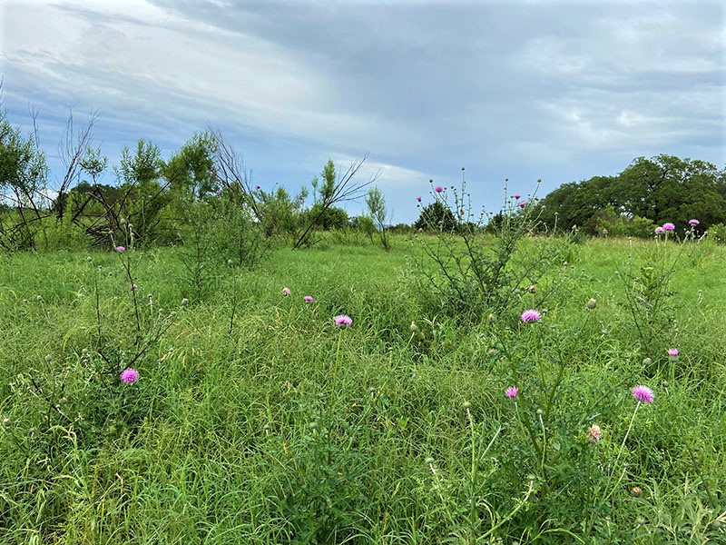 Texas VLB on Twitter "VLB's Veteransonly Land Sale is open for