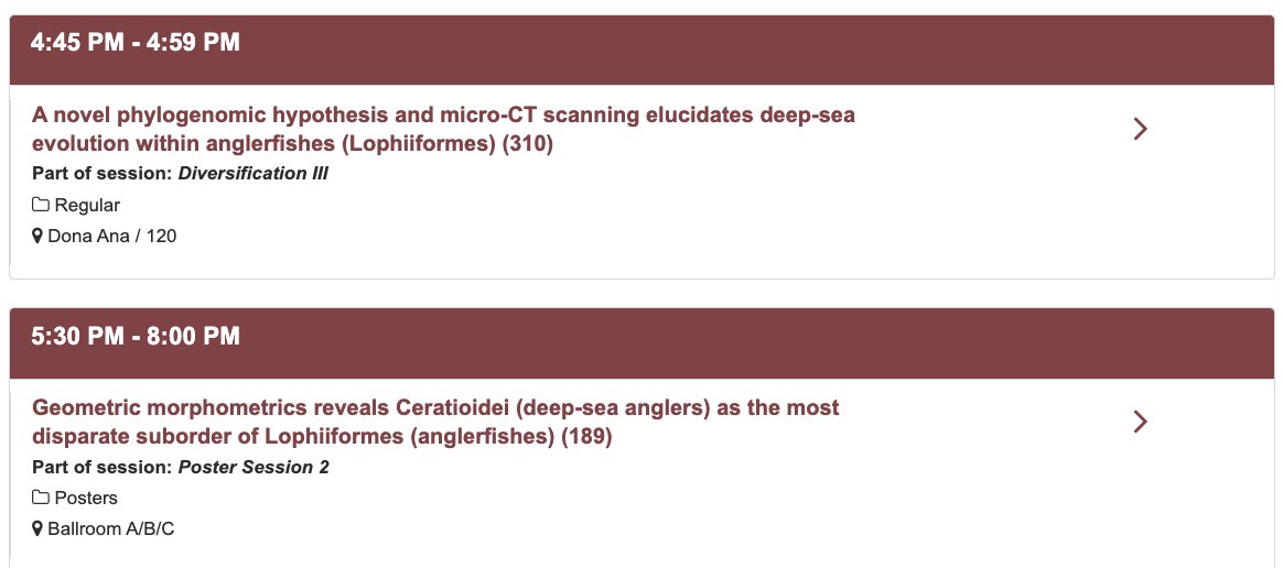 Team anglerfish at #Evol2023! Back-to-back talk and poster on Saturday will cover our new phylogeny, molecular dating, body shape evolution and CT scans!