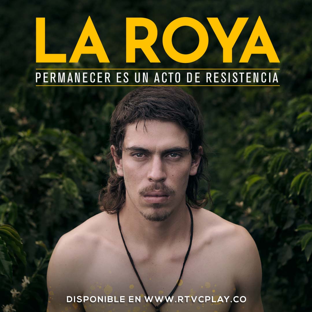 RTVCPlay's tweet photo. Jorge se quedó en el campo, a pesar de que sus amigos tienen vidas descontroladas en la ciudad. Al llegar las ferias y fiestas 🎉 los verá de nuevo a todos ¿Cambiará de opinión?

Mira la película 'La Roya' aquí 👉🏾https://t.co/Q1GOKfcaJH https://t.co/grQcbKYiv8