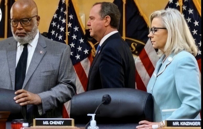 Chicago1Ray's tweet photo. If any of the 20 Republicans who voted no to censure and fine Adam Schiff are in your district, vote for the primary opponent, no matter who they are  THIS ENDS NOW ✔️ https://t.co/tMFid6ofJ9