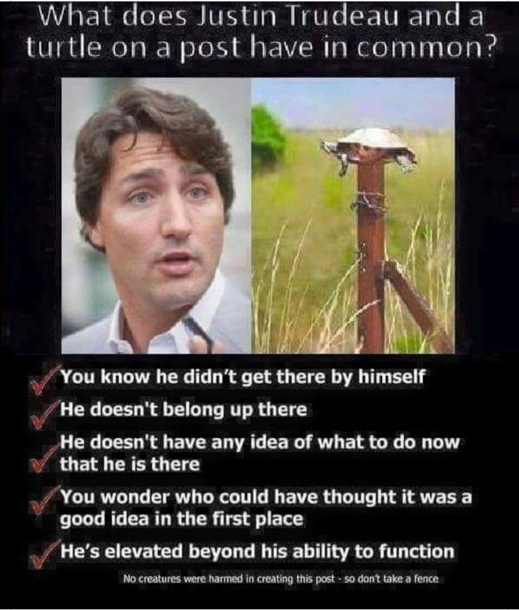 Day 18 of posting 1 picture of Trudeau looking stupid every day until he leaves office.       
#TrudeauMustGo #TrudeauBrokeCanada #TrudeauMustResign 
This works because he looks stupid in that pic